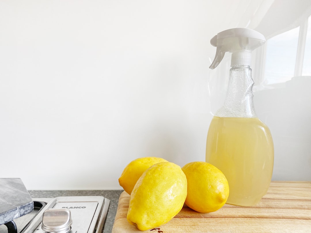 Vinduespudsning i Roskilde: Professionel Service og Kvalitet
